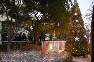 서구청 성탄트리 점등식 대표이미지