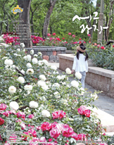 2021년 5월호(제343호) 대표이미지